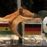 Paul Picks Germany Over Ghana